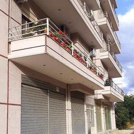 Drini Apartments Пермет Екстер'єр фото